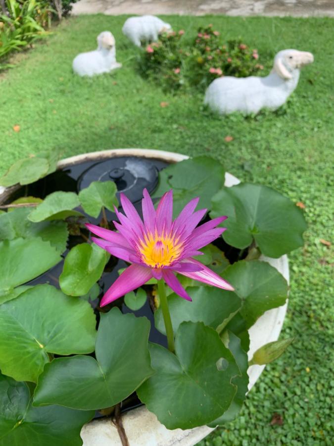 Hotel The Orchid House Nong Kung Yai Esterno foto