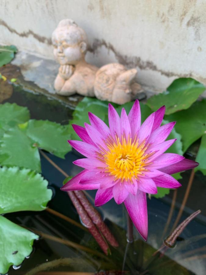 Hotel The Orchid House Nong Kung Yai Esterno foto